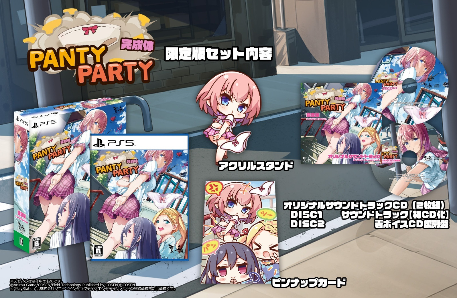 Panty Party Perfect Limited Edition